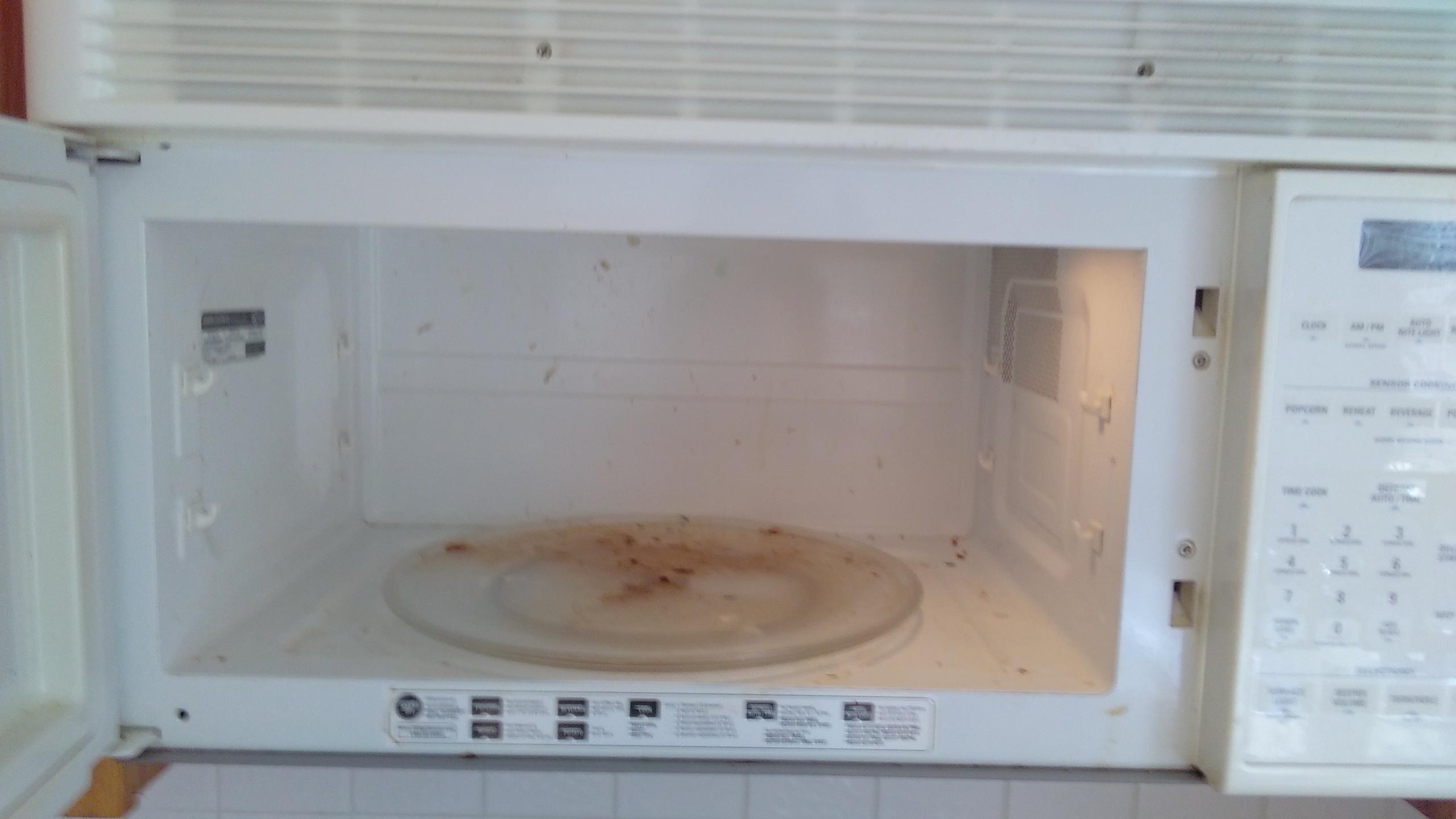 one-source-cleaning-fort-collins-jill.barends.970-818-3313-microwave-before-pic
