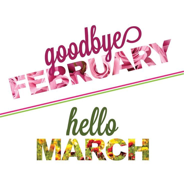 Goodbye February Hello March