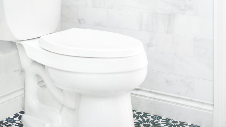 The One Source Method of Efficient Toilet Cleaning