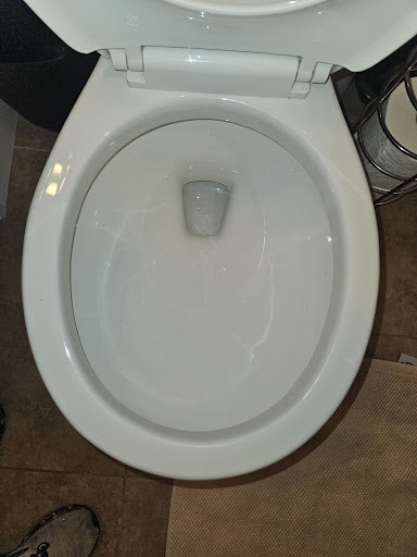 clean toilet