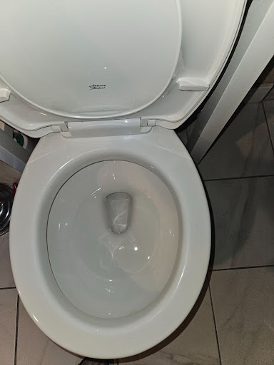 clean toilet bowl